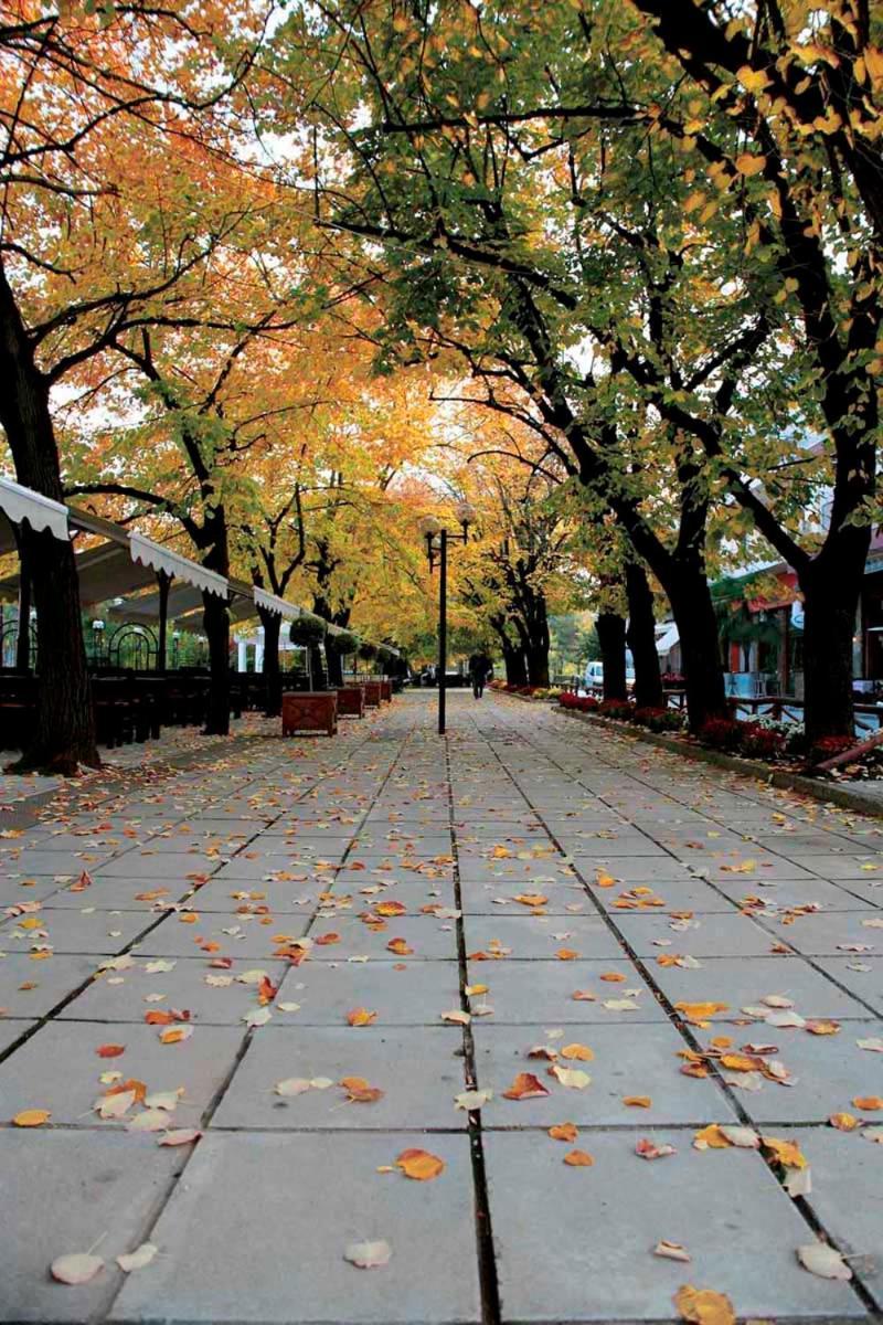 Εσπερίδες Naousa (Imathia) Luaran gambar